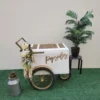 Standard Size Popsicle Cart with Gold Trim and Bicycle Tires