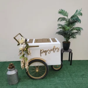 Standard Size Popsicle Cart with Gold Trim and Bicycle Tires