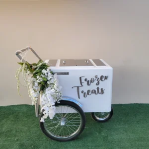 Standard Size Popsicle Cart with Chrome Trim and Bicycle Tires