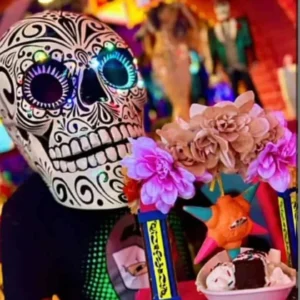 helmet with Stunning LED Lights