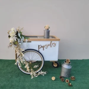 Elegant Large Popsicle Cart with Sliding Glass Doors