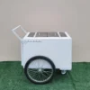 Standard White Popsicle Cart with Fenders and Bicycle Tires