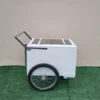 Standard Size Popsicle Cart with Bicycle Tires and Chrome Trim