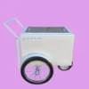 Standard Size Popsicle Cart with XL Door and Sleek White Trim