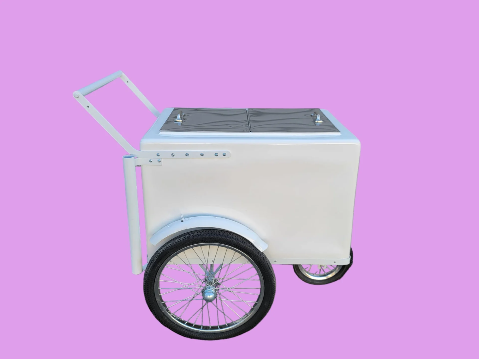 Standard Size Popsicle Cart with XL Door and Sleek White Trim